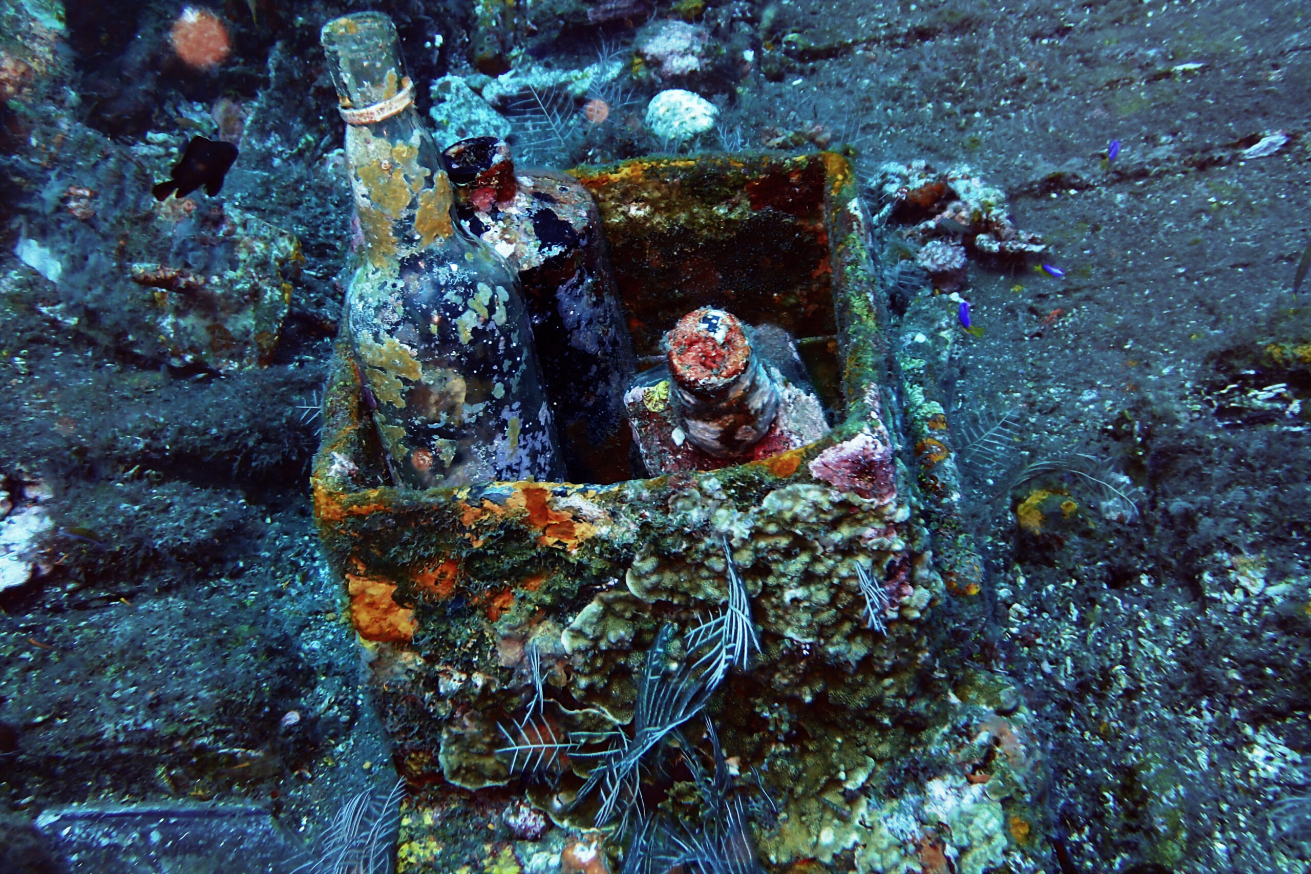 A box of bottles on the Boga Wreck in Kubu, Bali. There is more than just the USAT Liberty shipwreck in Bali. Dive in Bali and explore more dive sites.