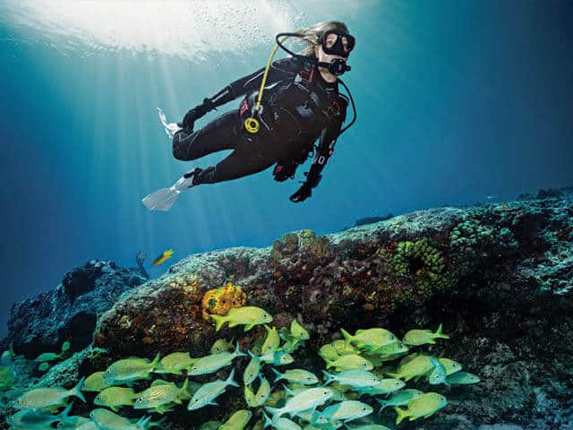 Waves, Tides and Currents